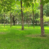 四川云创年华网络